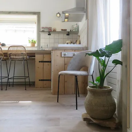 Casa Duna Close To The Beach, Centre, Dunes And Parking Area 4* 잔드보르트